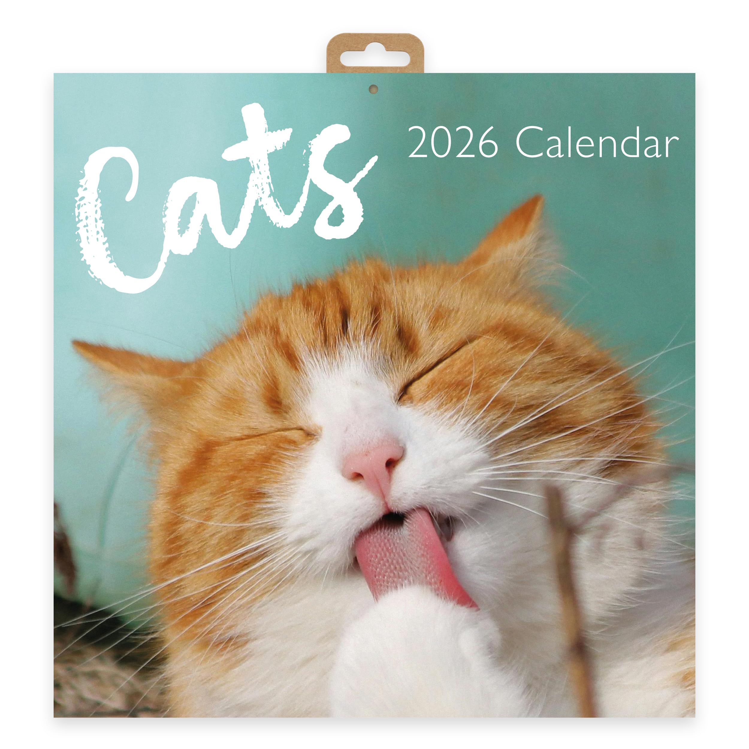 Cats 2026 Square Wall Calendar | Monthly Planner with Adorable Cat & Kitten Photography | Cute Pet Calendar