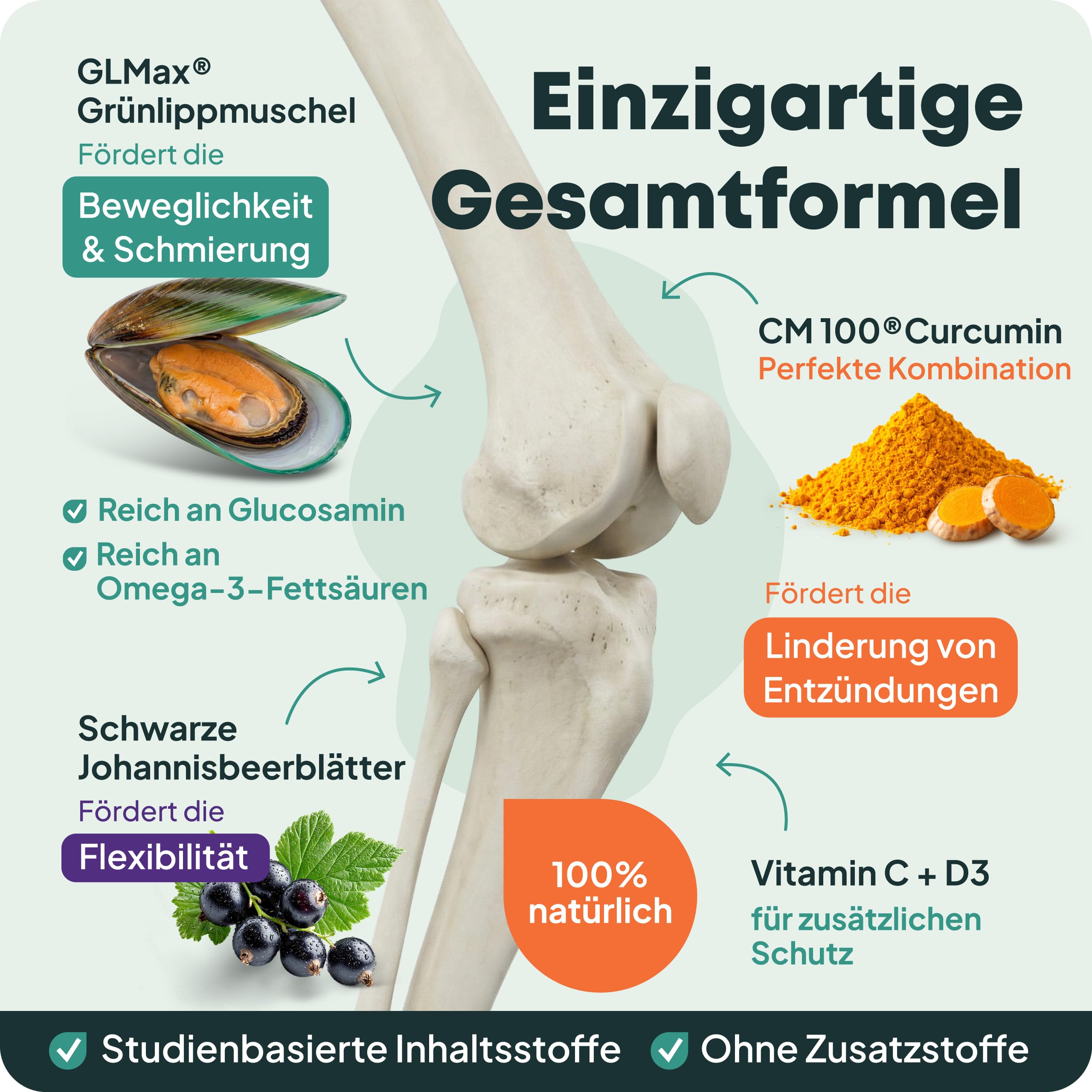Dog Joint Support Grünlippmuschel Hund 200 ml I Flüssiges Gelenkpräparat für Hunde I Mit Curcumin & Schwarzem Johannisbeerblatt I Unterstützt Knorpel & Beweglichkeit