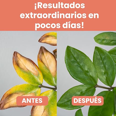 LERAVA Iron Chelate (200g) - Water-Soluble Greening - Corrects Yellowing and Improves Natural Green - Supports Photosynthesis - Ideal for Plants and Citrus