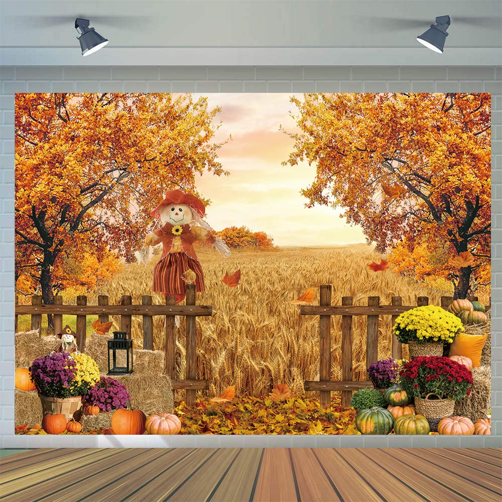Fall Farm Backgrounds