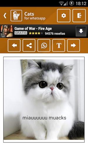 WhatsApp Cats