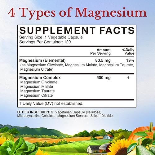 Miniatura 12 de Vitalitown Suplemento complejo de magnesio de 500 mg – Glicinato de magnesio, malato, taurato y citrato certificado NSF – Quelatado de alta