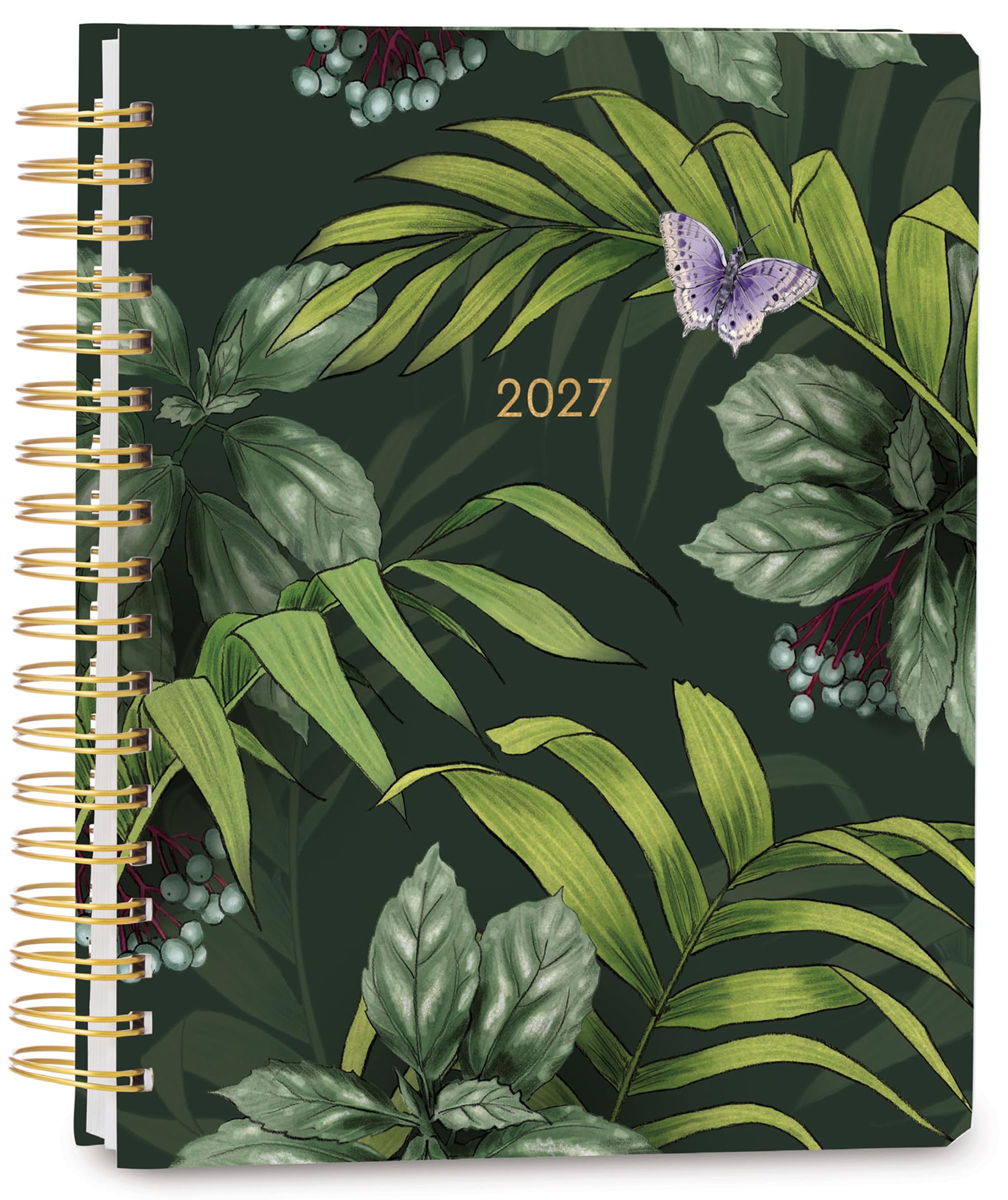 健康・医学 year note 2027 Amazon.com : High Note 2027 Planner, 17-Month Weekly & Monthly