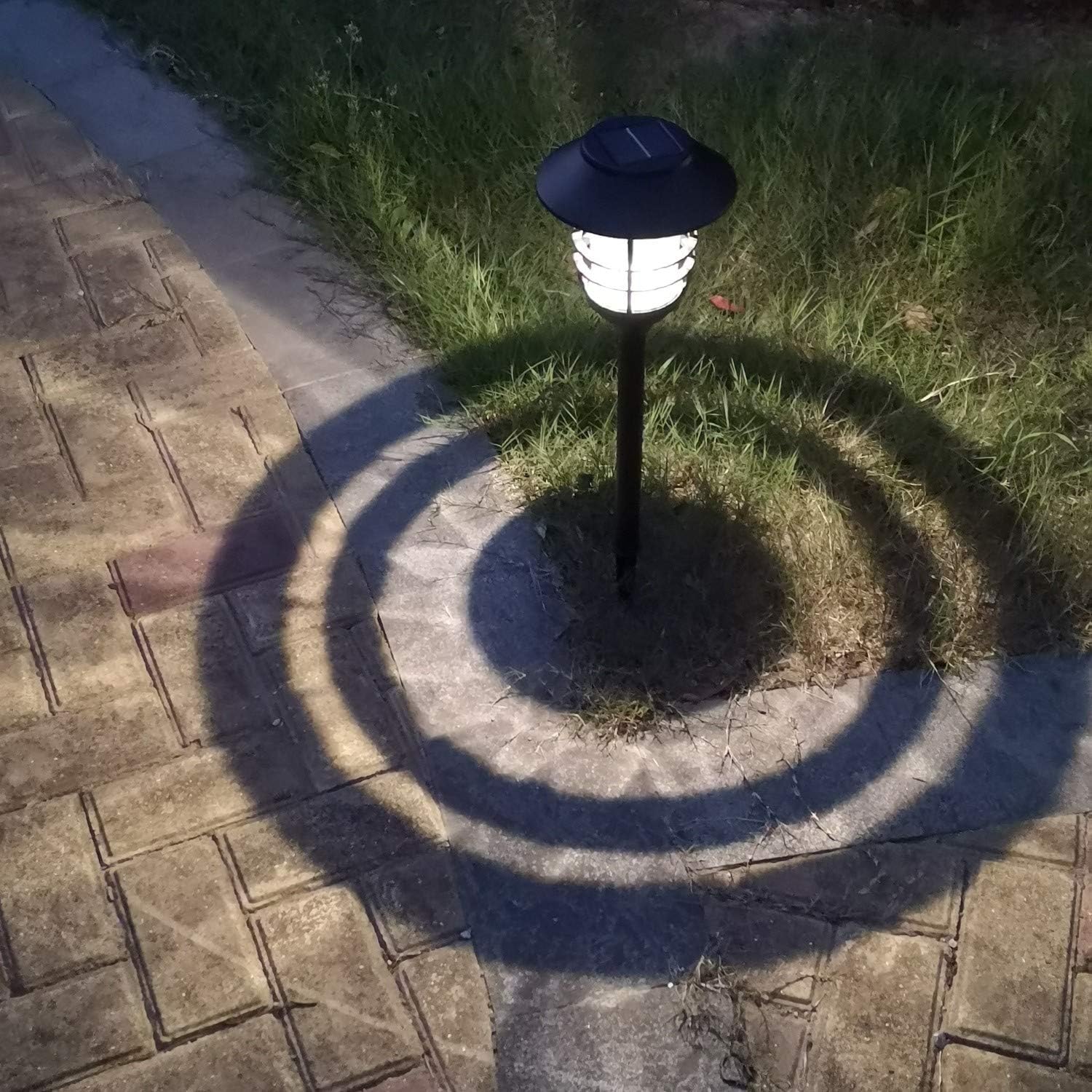 Exclusive Discount 50% Price Sucisia Solar Torch Light 4 Pack Metal LED Solar Light for Outdoor, Walkway, Patio, Backyard. Warm White Bulb Never Needs Replacing, Frosted Glass Lens, Durable Stainless Steel, Aluminum One-Day Sale: Up to 70% Off Sucisia Solar Torch Light 4 Pack Metal LED Solar Light for Outdoor, Walkway, Patio, Backyard. Warm White Bulb Never Needs Replacing, Frosted Glass Lens, Durable Stainless Steel, Aluminum