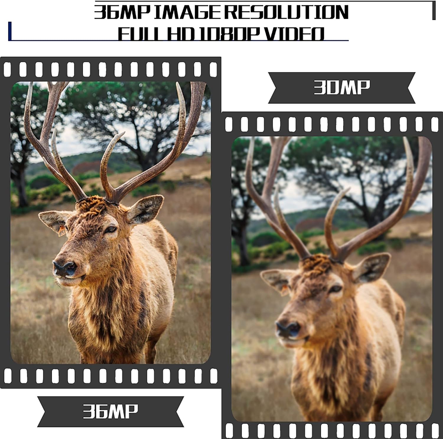Ultra High Image Resolution Hunting Camera Invisible IR Trail Camera 36MP 1080p HD Video, Adjustable Sensor up to 100ft. Detection, Trigger time Less Than 1s Hunting Cam.