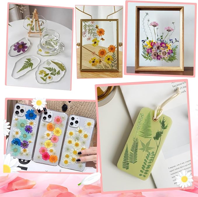 Kit de 210 Flores Secas Prensadas para Artesanía miniatura 6