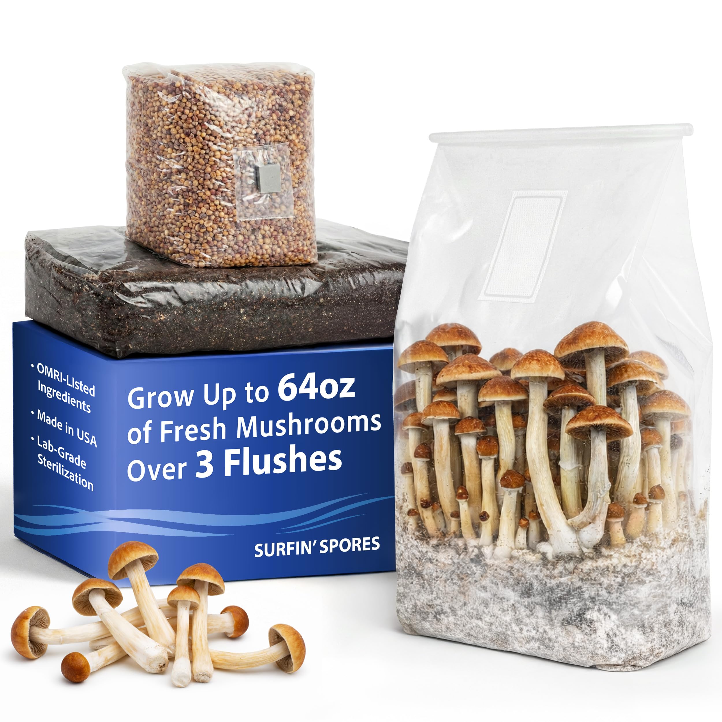 6 LB All-in-One Mushroom Grow Kit, Up to 64oz of Fresh Mushrooms Over 3 Flushes, Sterilized Grain Bag + Dung-Loving Substrate, Injection Port, OMRI-Listed, Made in USA, Just Add Spores