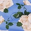 Product Photo 8