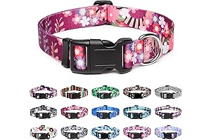 Cozy, Flowery Charm for Your Canine: Adjustable Dog Collar