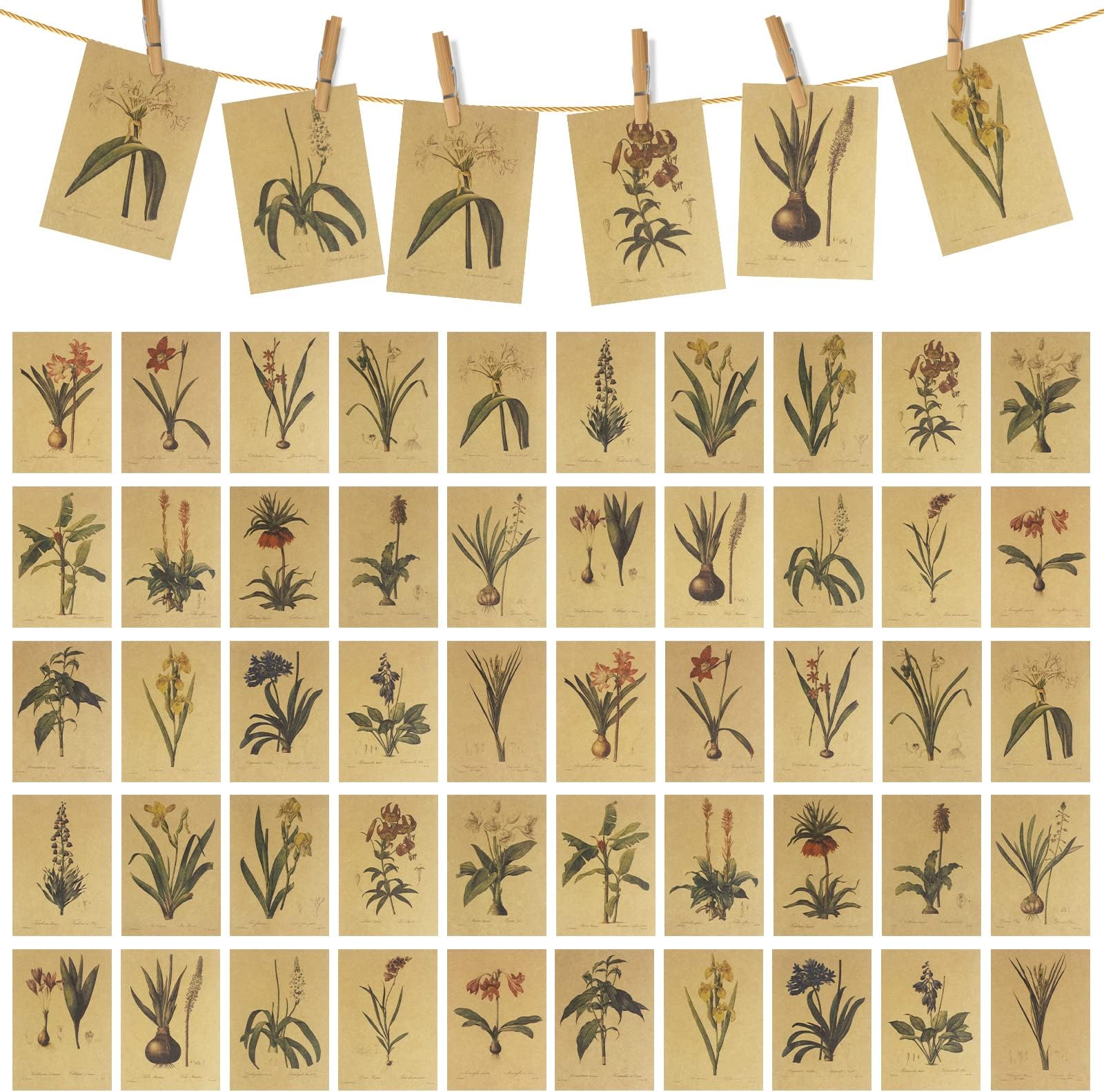 50Pcs Vintage Postcard Flower Postcards Vintage Flowers Mailing