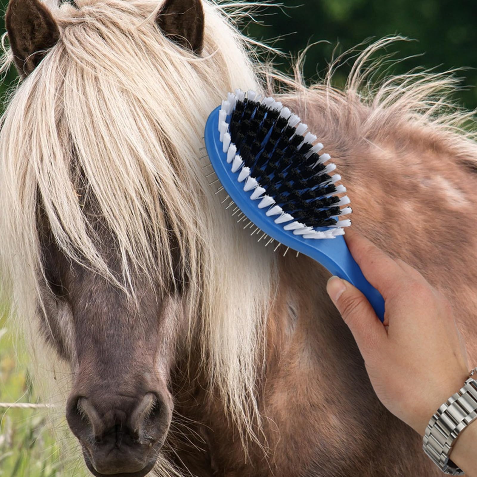 Kit de aseo para caballos: incluye púa de pezuña, peine de doble cara, cepillo, esponja y peine para caballos para una limpieza y cuidado eficaz de la adherencia equina