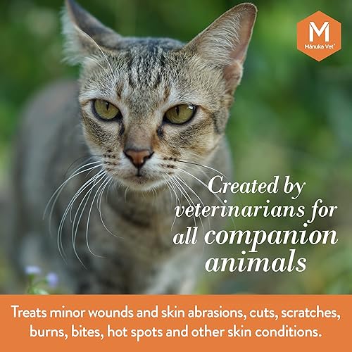 Miniatura 5 de Manuka Gel veterinario para piel y heridas, 15+ UMF miel de manuka, tratamiento de curación rápida y reparación de la piel para perros, gatos y