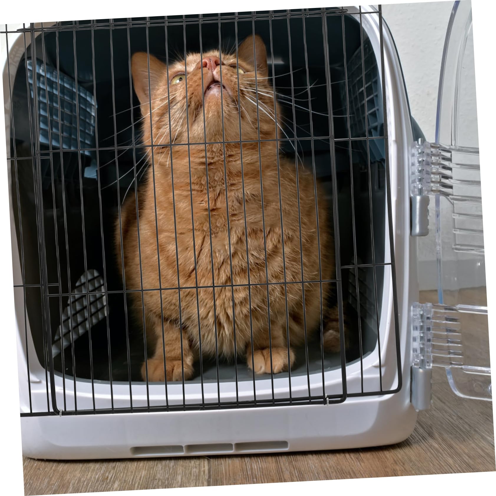 TOYANDONA Sichere Metalldraht Katzentür aus Eisen für Selbstgemacht Katzenlaufstall Leicht Montierbar mit Dichtem Netzdesign für Zuhause und Haustierzubehör