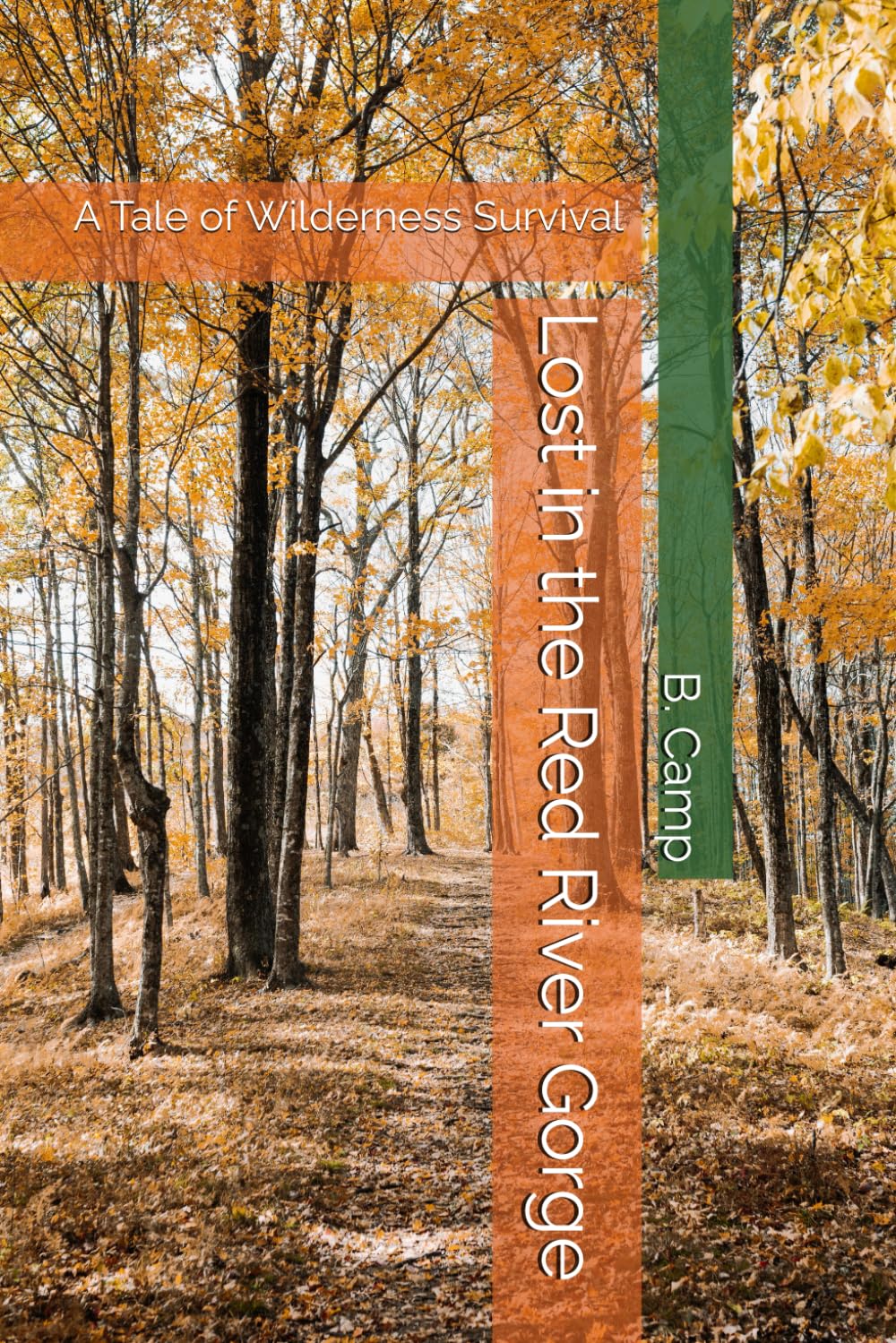 Lost in the Red River Gorge: A Tale of Wilderness Survival (Chaos in the Gorge)