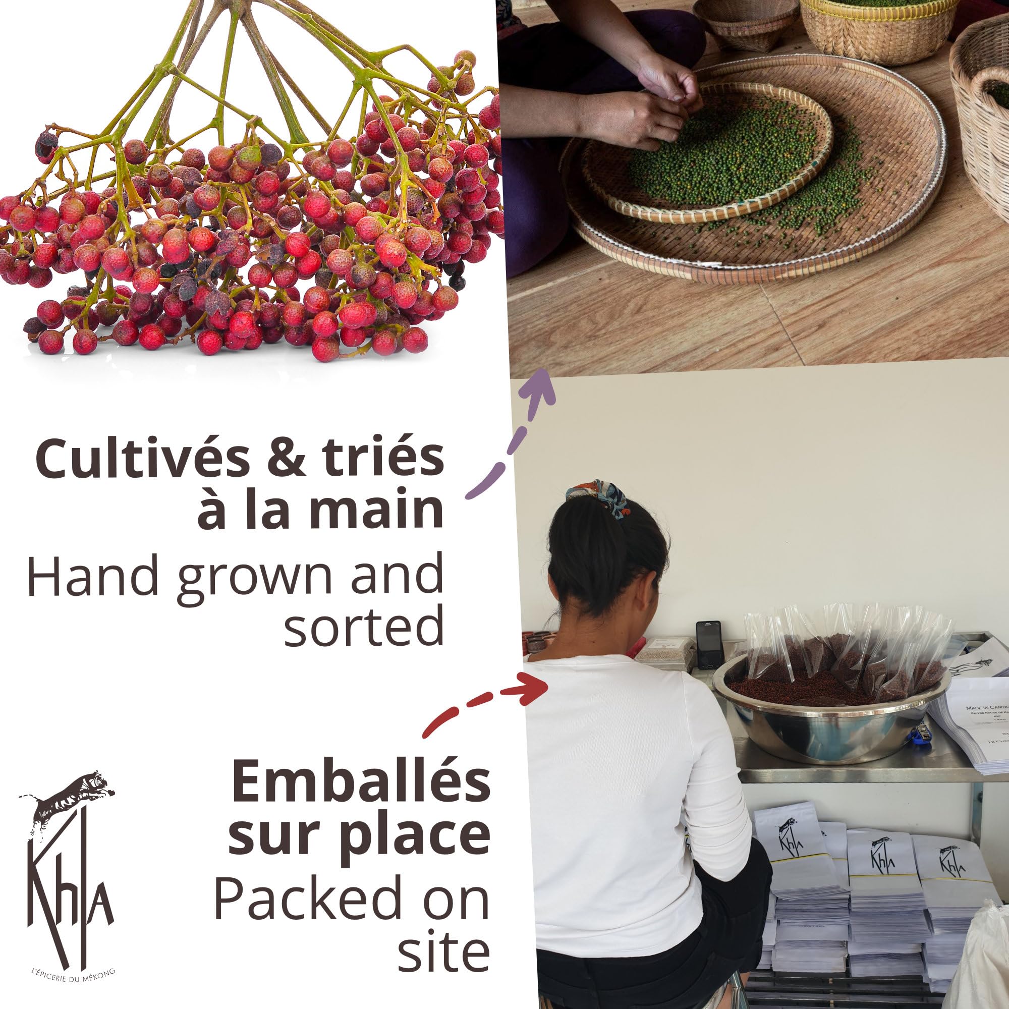 Khla - Coffret Trio de Poivres Rares - Sichuan & Timut - En Grains - Coffret Cadeau Cuisine - Baies Sichuan Rouge Vert - Épices Poivres du Monde - Recharge Moulin - Asie Chine Népal