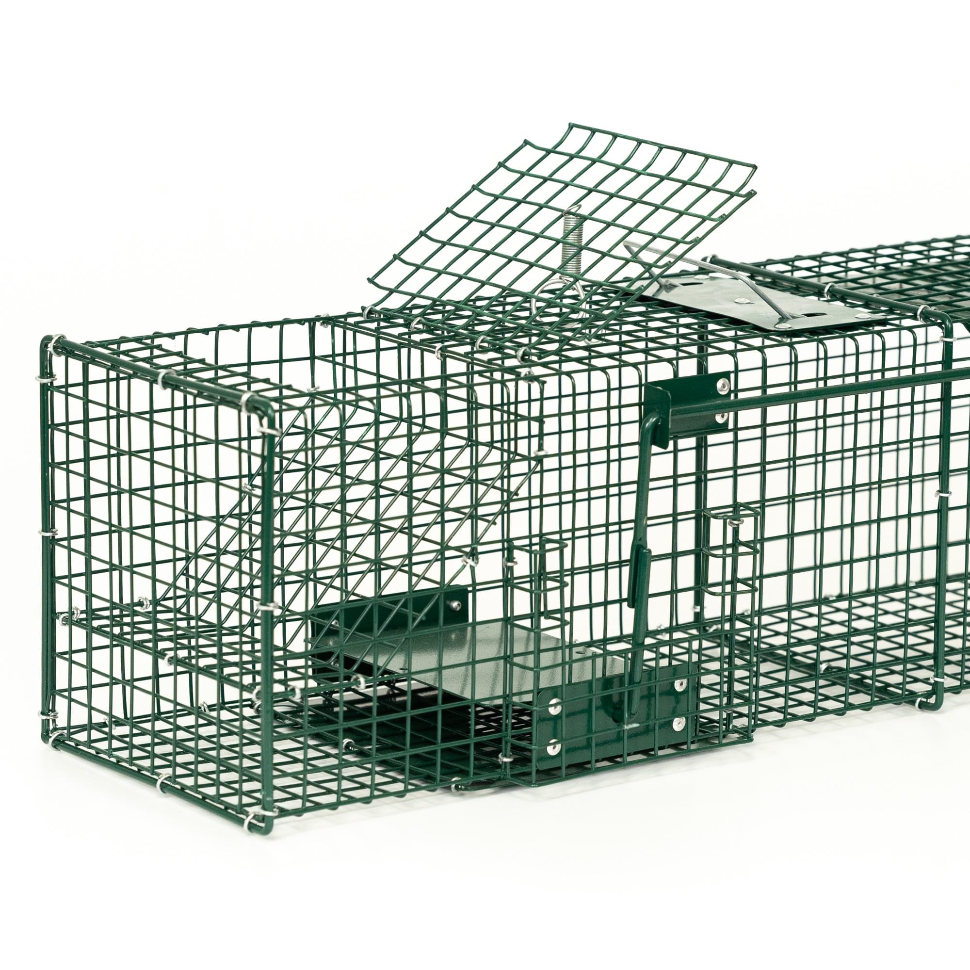 ITA Trappola 6017IT - 60x20x20 cm - 1 Porta, Resistente agli Agenti Atmosferici, Riutilizzabile, Montata
