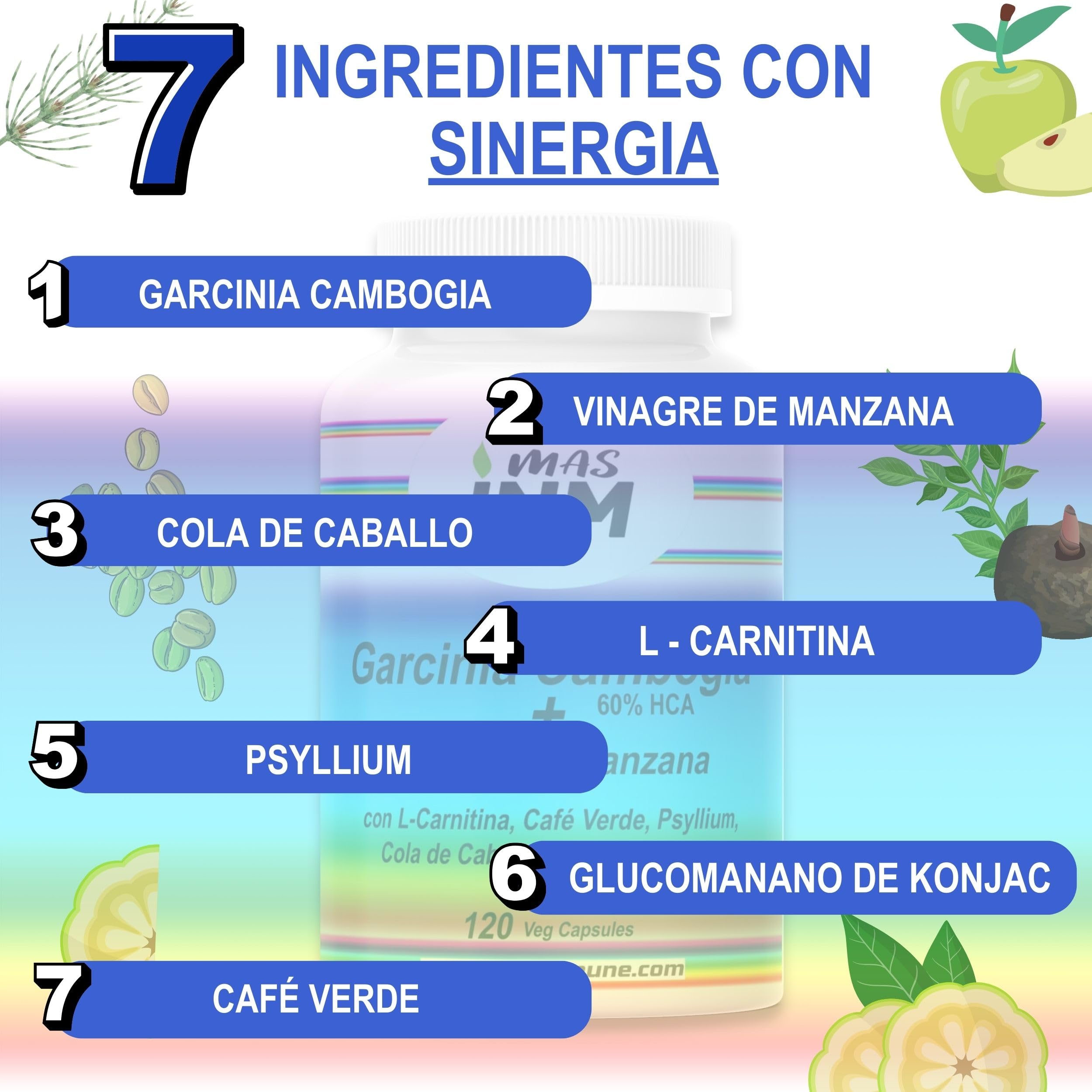 Garcinia Cambogia 60% HCA - Quemagrasas Natural con Vinagre de Manzana - L-Carnitina – Glucomanano - Suplemento para Pérdida de Peso – Efecto Termogénico Fat Burner - 120 Cápsulas – Masinmune.