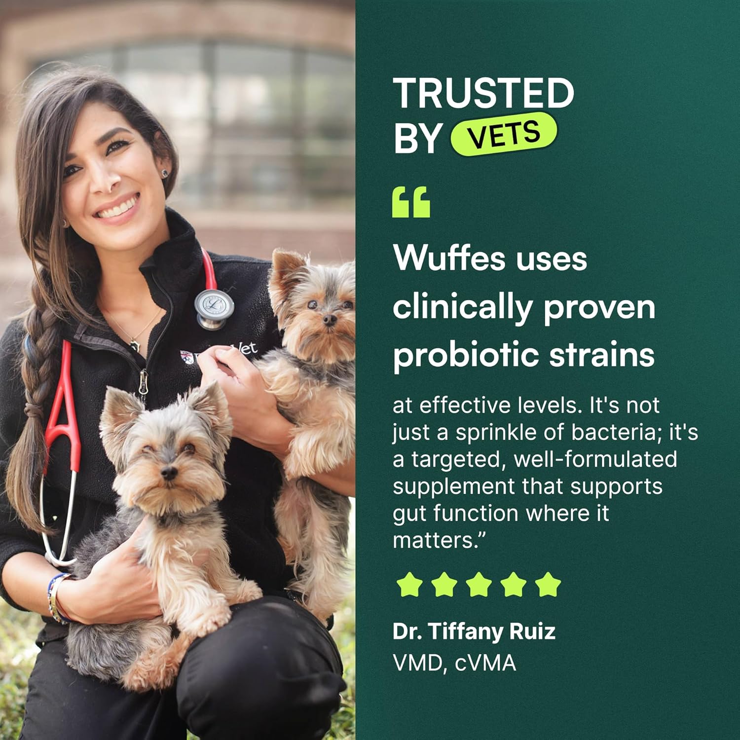 Wuffes Daily Probiotic for Dogs - Supports Digestive Health, Gut Balance, and Immune System - with Prebiotics, Marshmallow Root, and Pumpkin Powder (120 Chews (Pack of 2))