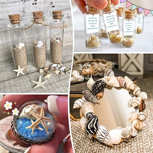 Miniatura 6 de Mezcla de conchas pequeñas de alta calidad, incluye conchas de mar, caracoles de mar y estrellas de mar, un total de 300 unidades (8 tipos), conchas