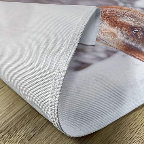 Miniatura 132 de Ambesonne Juego de 4 manteles individuales amarillos y azules, diseño de flores de primavera, flores vibrantes, manteles individuales de tela Azul