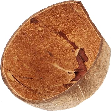 Alasum Natural Coconut Shell Reptile Hideout Cave for Turtles Lizards Spiders Hermit Crabs Safe Decorative Terrarium Shelter with Lifelike Appearance Enclosure Accessory for Small