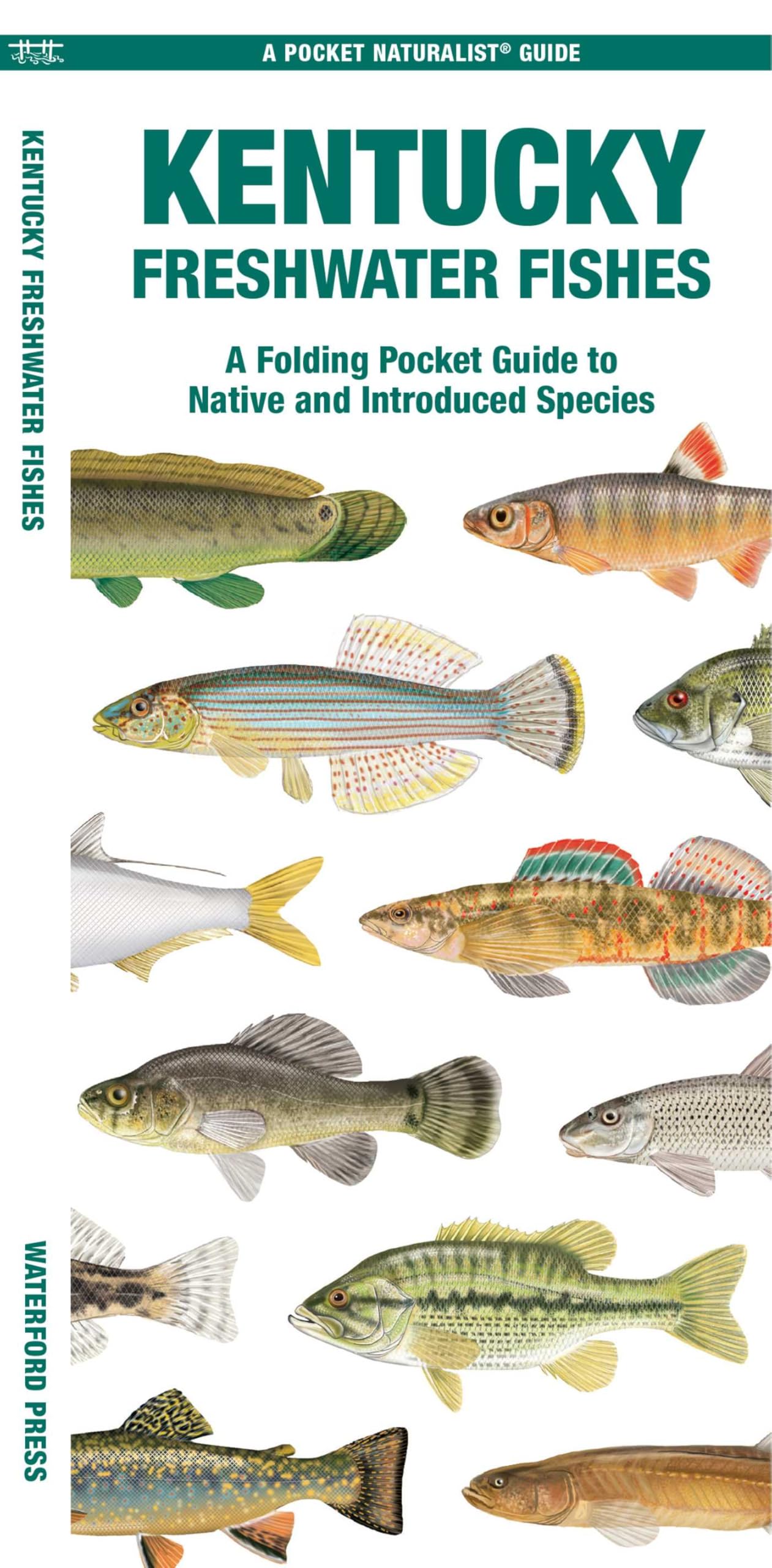 Kentucky Freshwater Fishes: A Folding Pocket Guide to Native and Introduced Species (Nature Observation North America)