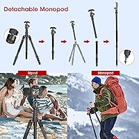 Vista 4 de Manbily - Trípode de viaje de aluminio de 74 pulgadas para cámara DSLR teléfono, cabeza de bola de 360° con mango y placa QR extra de 1/4 pulgadas