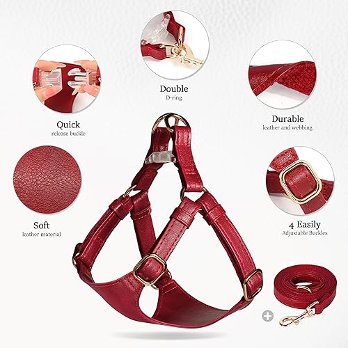 Miniatura 3 de Didog Arnés sin tirones para perros pequeños, suave y ligero juego de arnés y correa para perros pequeños, duradero y ajustable, arnés de cuero XS
