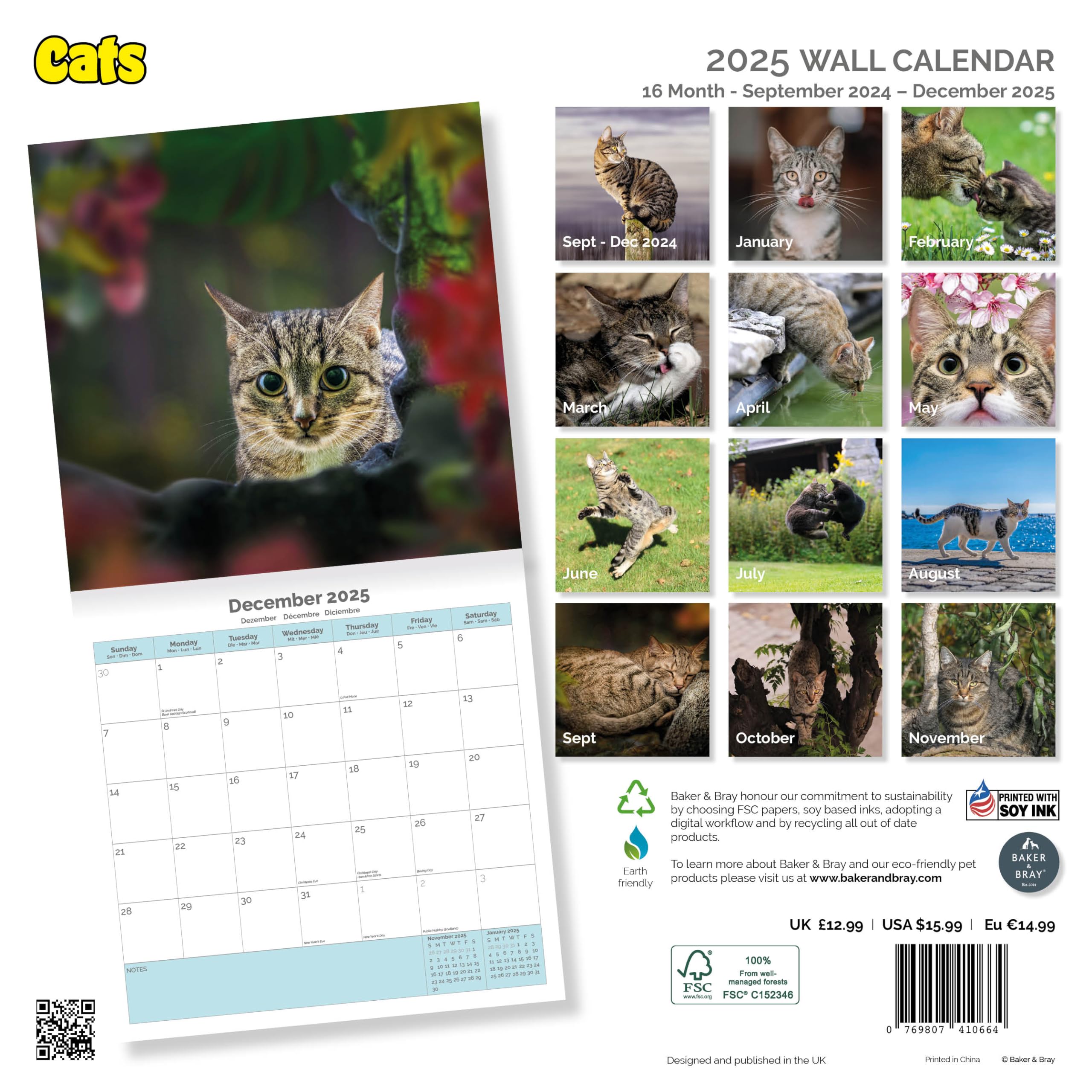 Baker and Bray Cats Calendar 2026, Large Square Wall Calendar With Organisational Stickers, 16 Month, Cats Gift Cat Calendar - Image 2