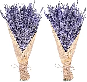 Dried Lavender Bundles, Uieke Natural Dried Lavender Flowers 280-300 Stems 16“ for Home Weeding Decoration Flower Arrangements Home Fragrance 2 Bundles