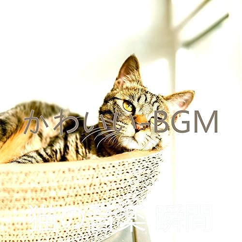 Amazon Music 猫の音楽 瞬間のかわいい Bgm Amazon Co Jp