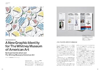 【グラフティ洋書】Flip The Script/初版の青文字【美品激レア】 グラフティ洋書】Flip The Script/初版の青文字【美品激レア