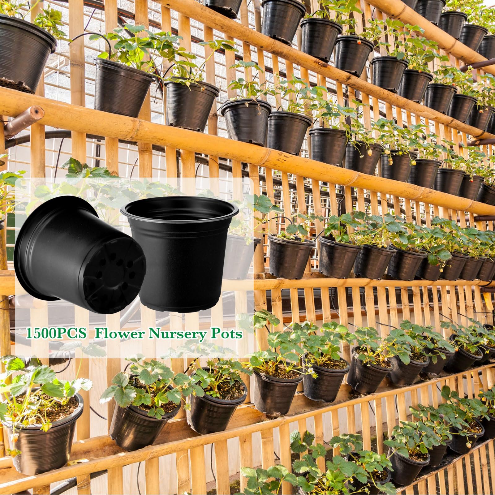 Hushee Lot de 1 500 pots de semis en plastique de 15,2 cm avec trous de drainage – Jardinières pour le démarrage des semis, la transplantation de fleurs d'intérieur et d'extérieur (noir)