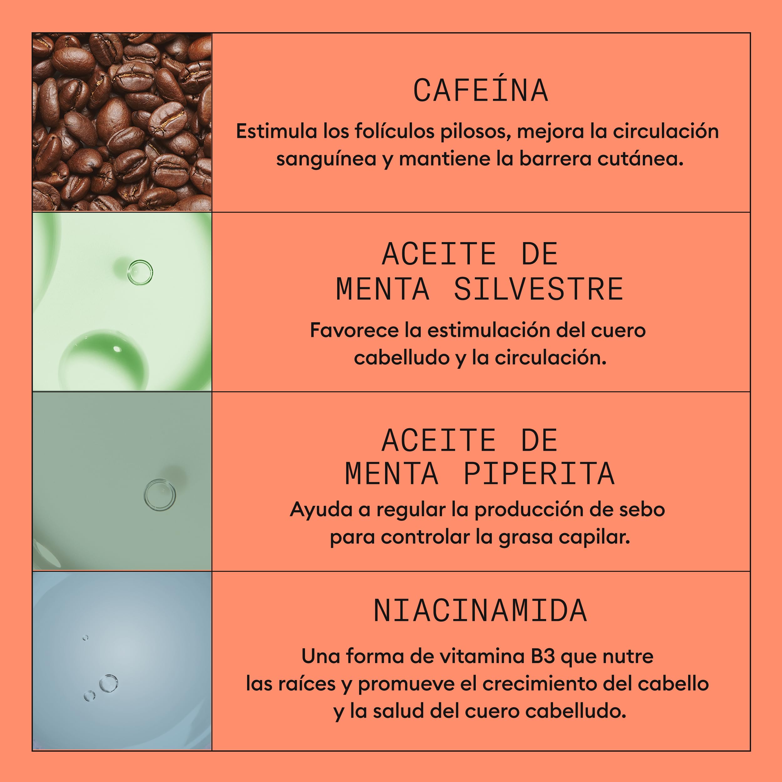 Nioxin Sistema 4 Champú Acondicionador Tratamiento Cabello Teñido Dañado Debilitamiento Avanzado