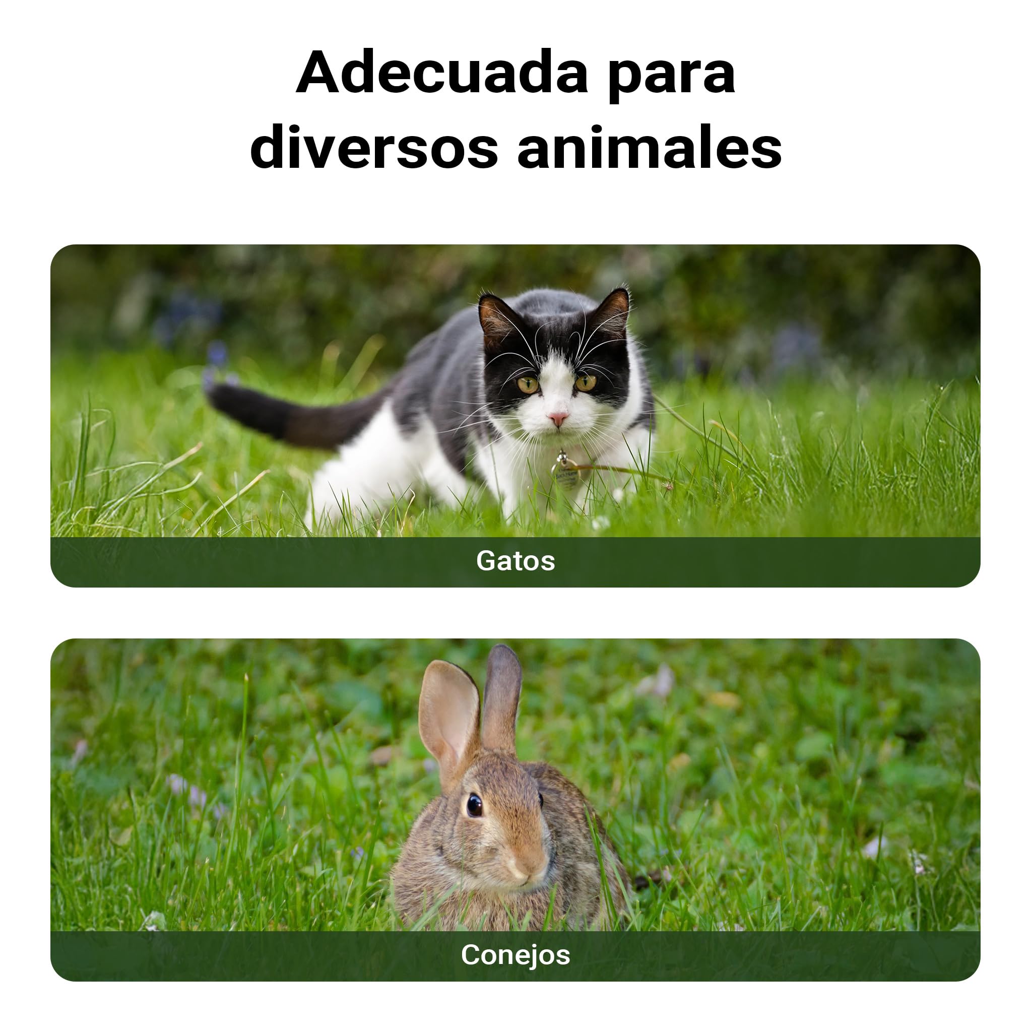 Gatera Casita Gatos 2 entradas Caseta Animales Accesorios Exterior Cabaña Mascotas Jardín Terraza