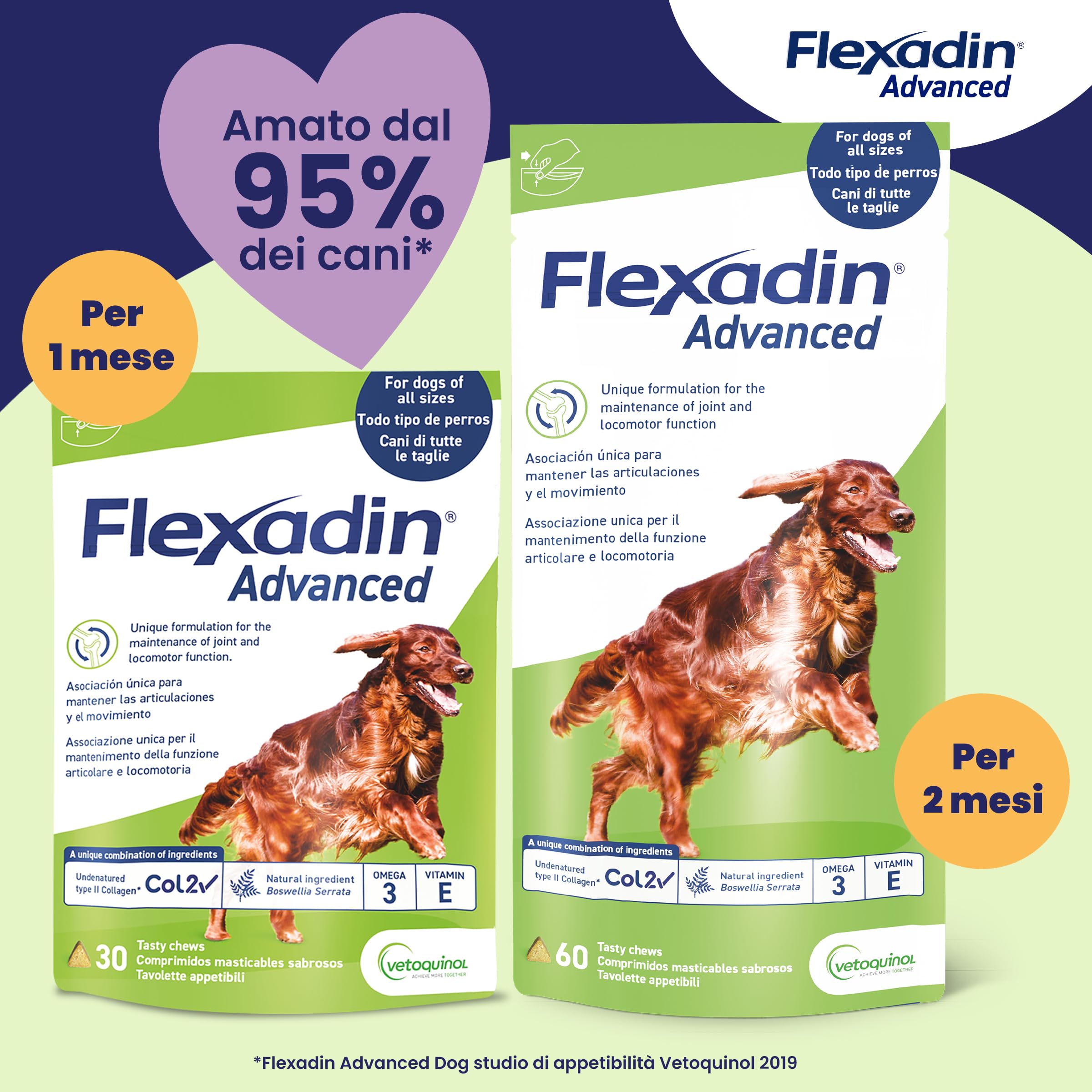 Vetoquinol Flexadin Advanced Cane | Mangime complementare per Cani | Ideale per il supporto delle articolazioni anche in corso di Osteoartrite | 60 Tavolette Appetibili, 1 tavoletta al giorno