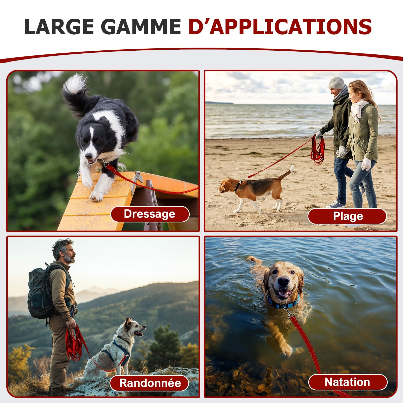 Laisse Chien, Longe pour Chien Réfléchissante, Longe 3m 5m 10m 15m 20m 25m 30m, avec Mousqueton Solide, Parfaite pour Les Balades Nocturnes, Convient à Toutes Tailles de Chiens (Rouge, 5m)