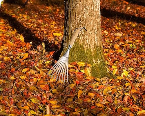 Miniatura 3 de Rastrillo de 9 dientes de acero inoxidable