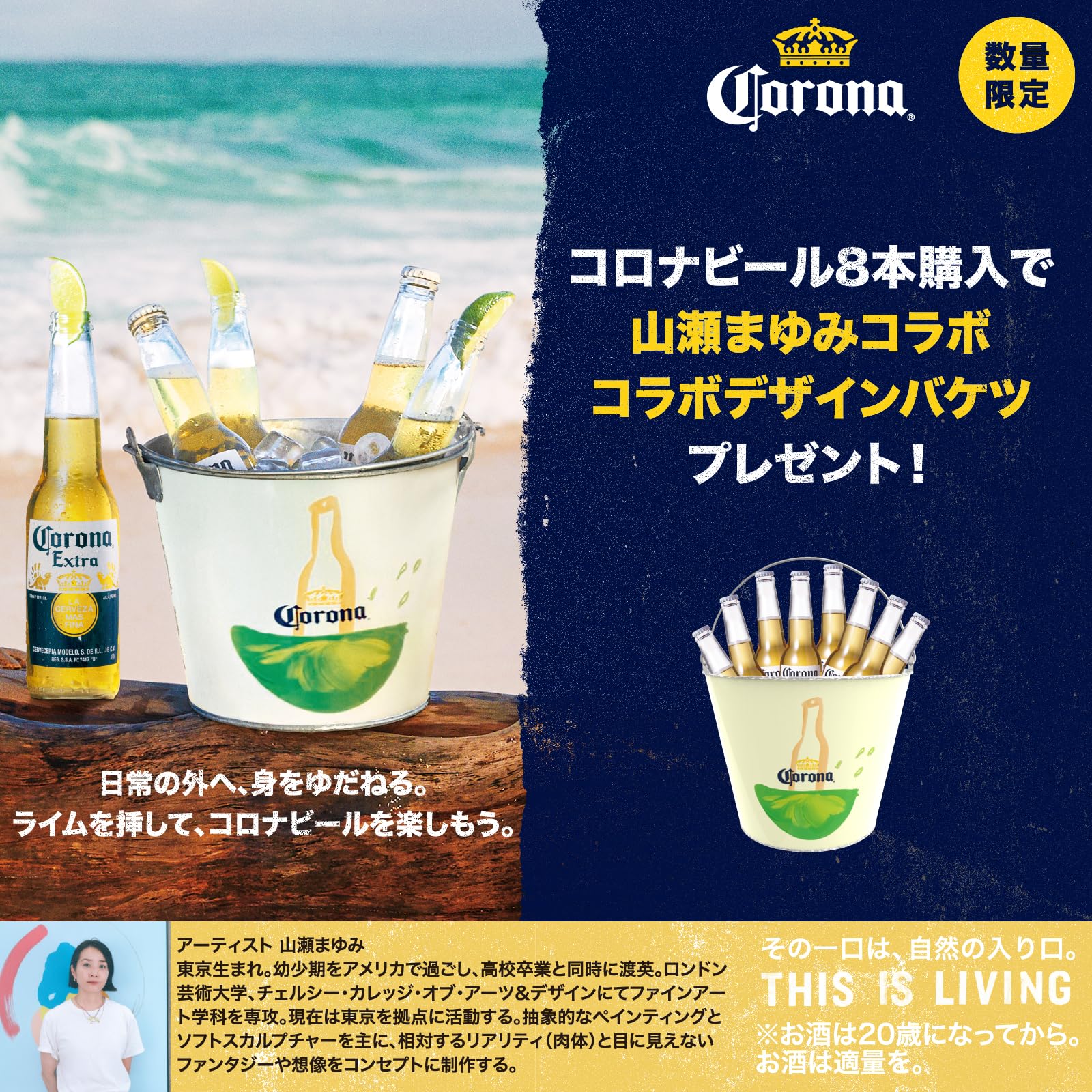 Amazon.co.jp: 【期間限定】 【ギフト 】コロナ・エキストラ Corona
