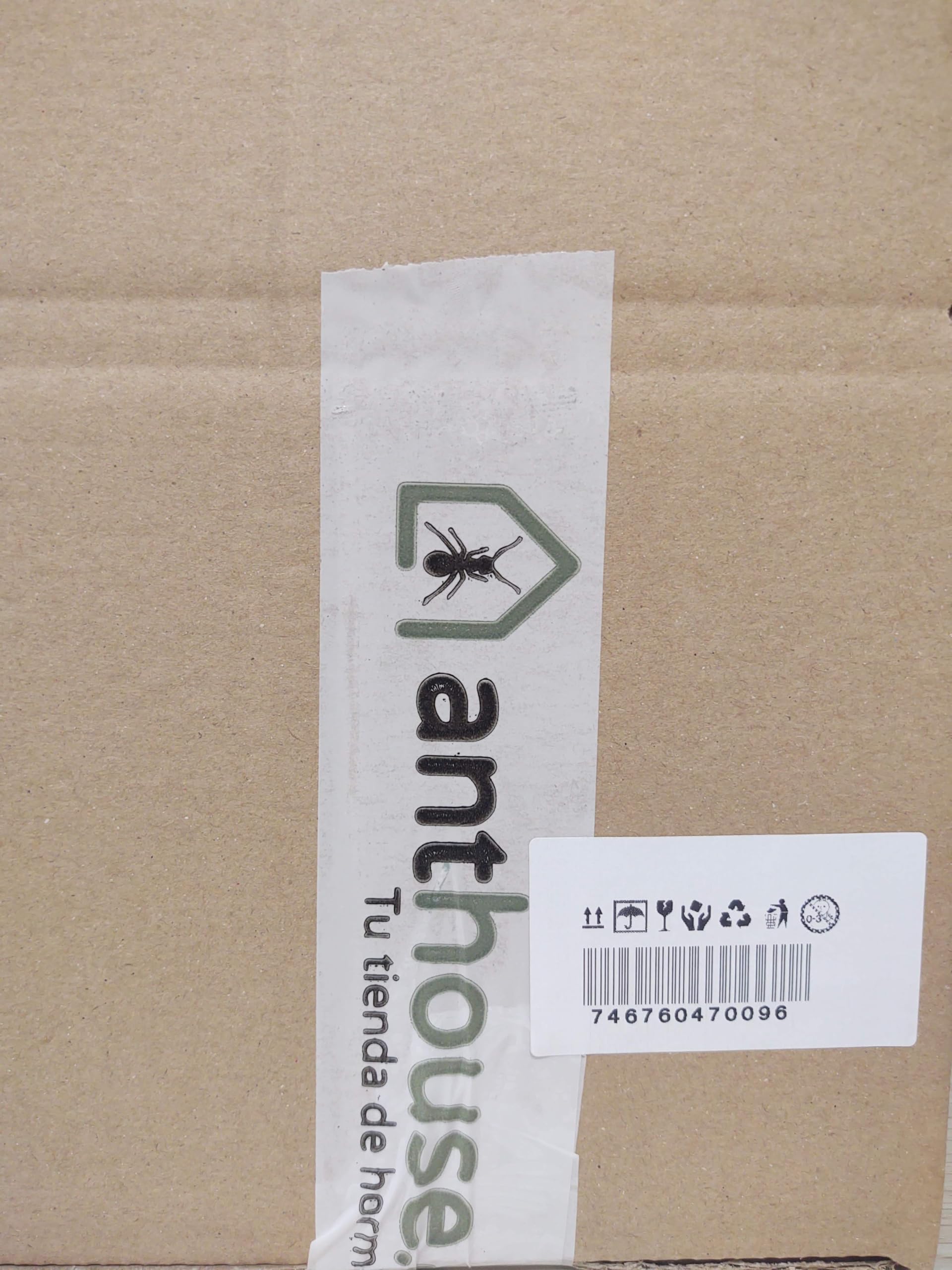AntHouse - Hormiguero Acrílico Kit Educativo - Hormiguero con humidificador de Seta - Terrario deHormigas Ampliable - Incluye Deposito de Agua y Hormigas - Medidas (10x20x1,3 cm) - Transparente