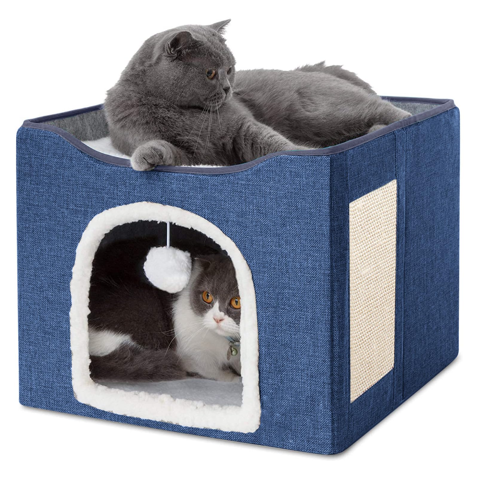 PETCUTE Cuccia Pieghevole per Gatti,Cuccia Gatto Chiusa Interno con Pannello Tiragraffi e Pallina,Casetta per Gatti con Cuscino Rimovibile e Lavabile,Cuccia per Gatti e Cani di Piccola Taglia