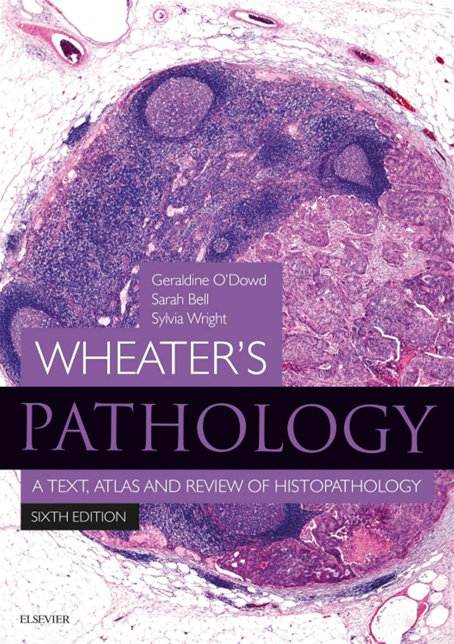 Wheater's Pathology: A Text, Atlas and Review of Histopathology E-Book (Wheater's Histology and Pathology) (English Edition)