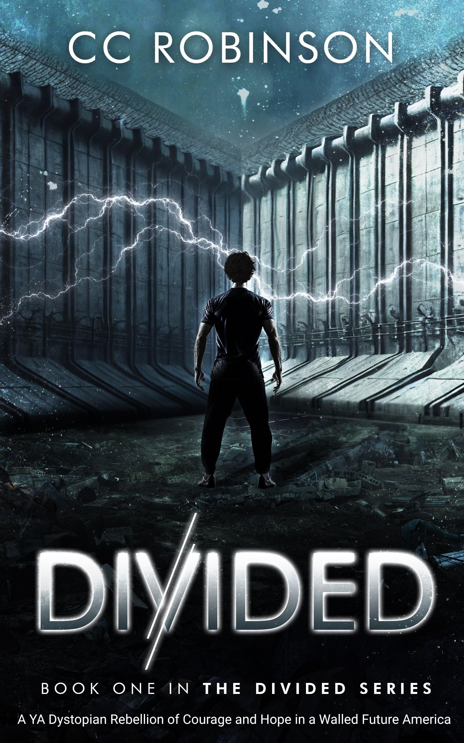 Divided (The Divided Series Book 1)