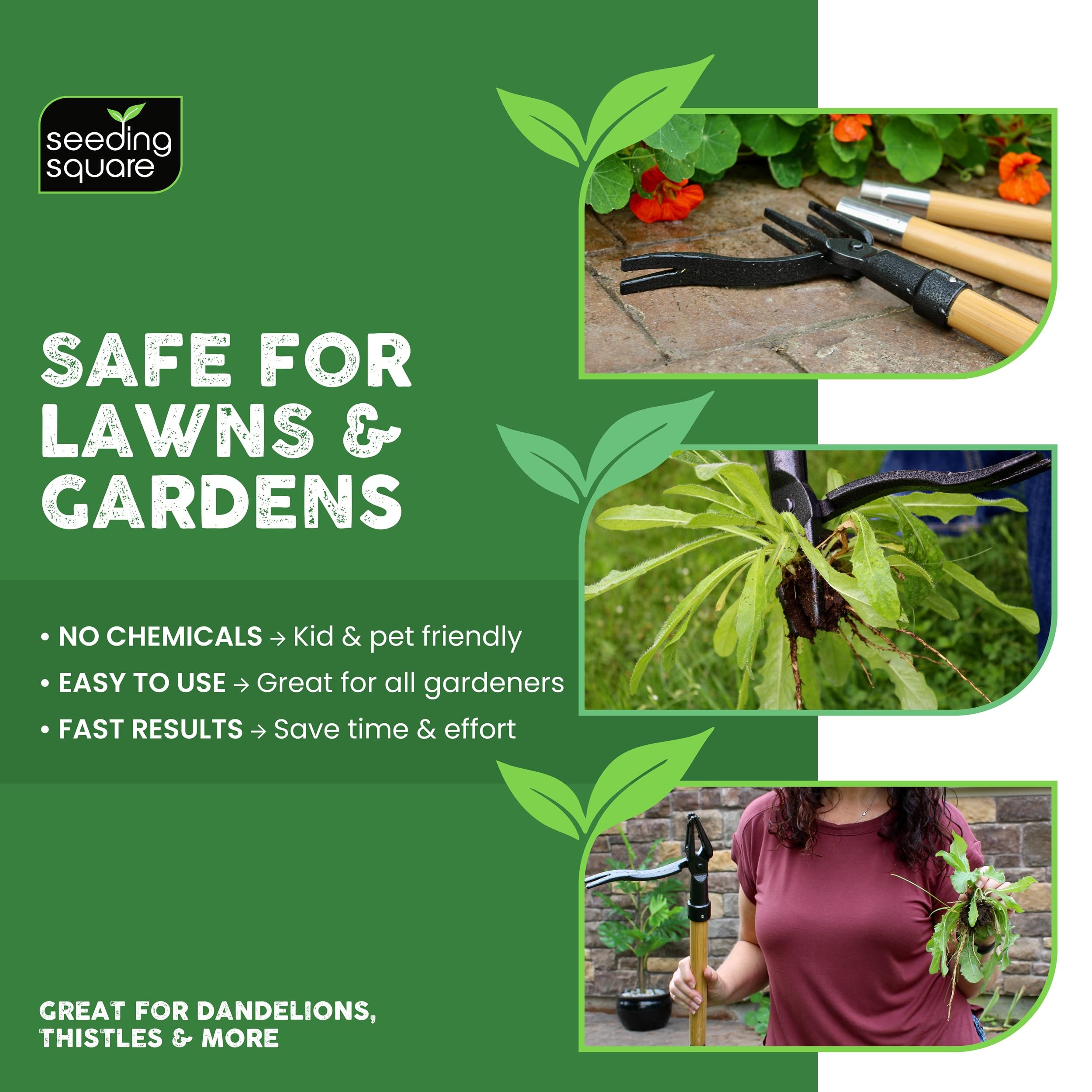 Seeding Square The Weed Gobbler Carbon Steal & Bamboo Stand-Up Unkrautentferner Werkzeug für Löwenzahn und einwurzelige Unkräuter - Ergonomischer Rasenjäter für rückenschonende Unkrautentfernung