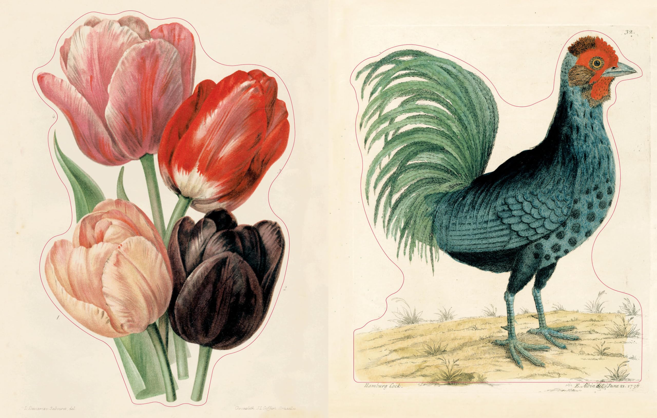John Derian Sticker Book II /anglais