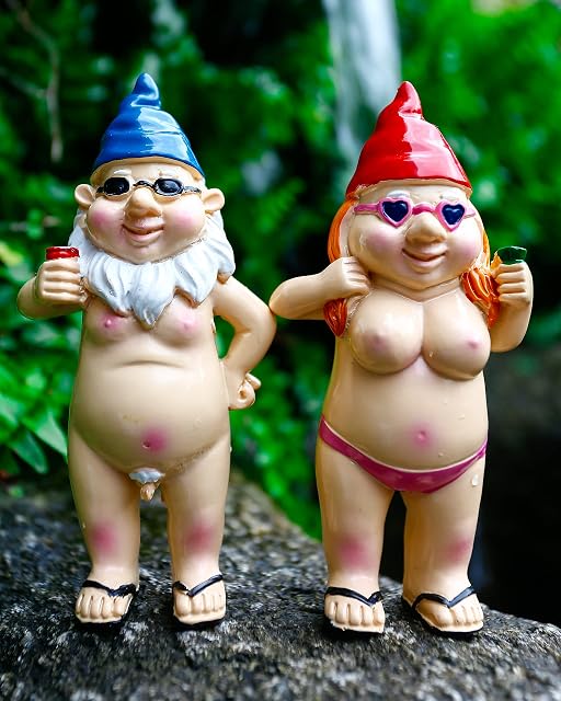 2Pcs Funny Naked Garden Gnome, Naughty Garden Gnomes Ornaments Outdoor Rude Garden Statue Peeing dwarf Indoor or Outdoor Lawn Decorations Novelty Interesting Gifts