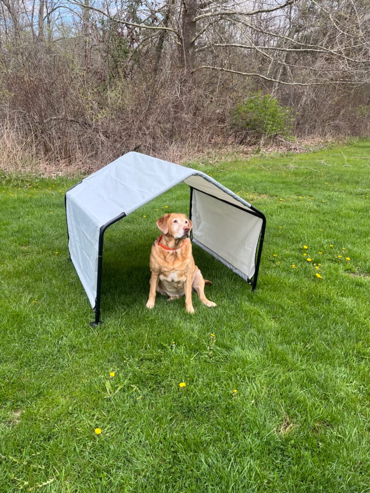 36/mo Finance Beimo Large Outdoor Dog Kennel Heavy Duty Metal Steel