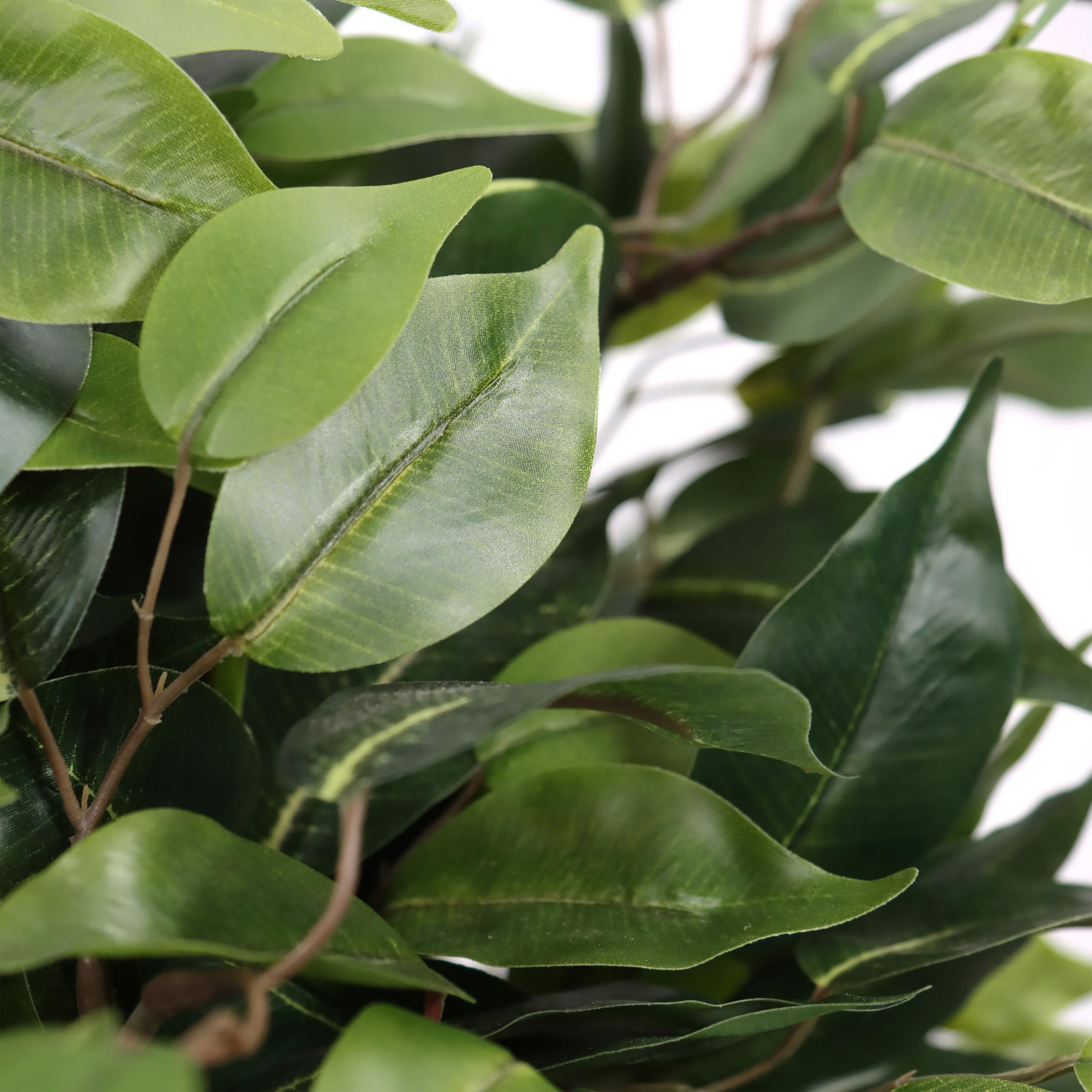 hjh OFFICE Planta Artificial 65 cm FICUS II Planta Artificial Decorativa, Higo de Abedul, árbol Artificial de fácil Cuidado