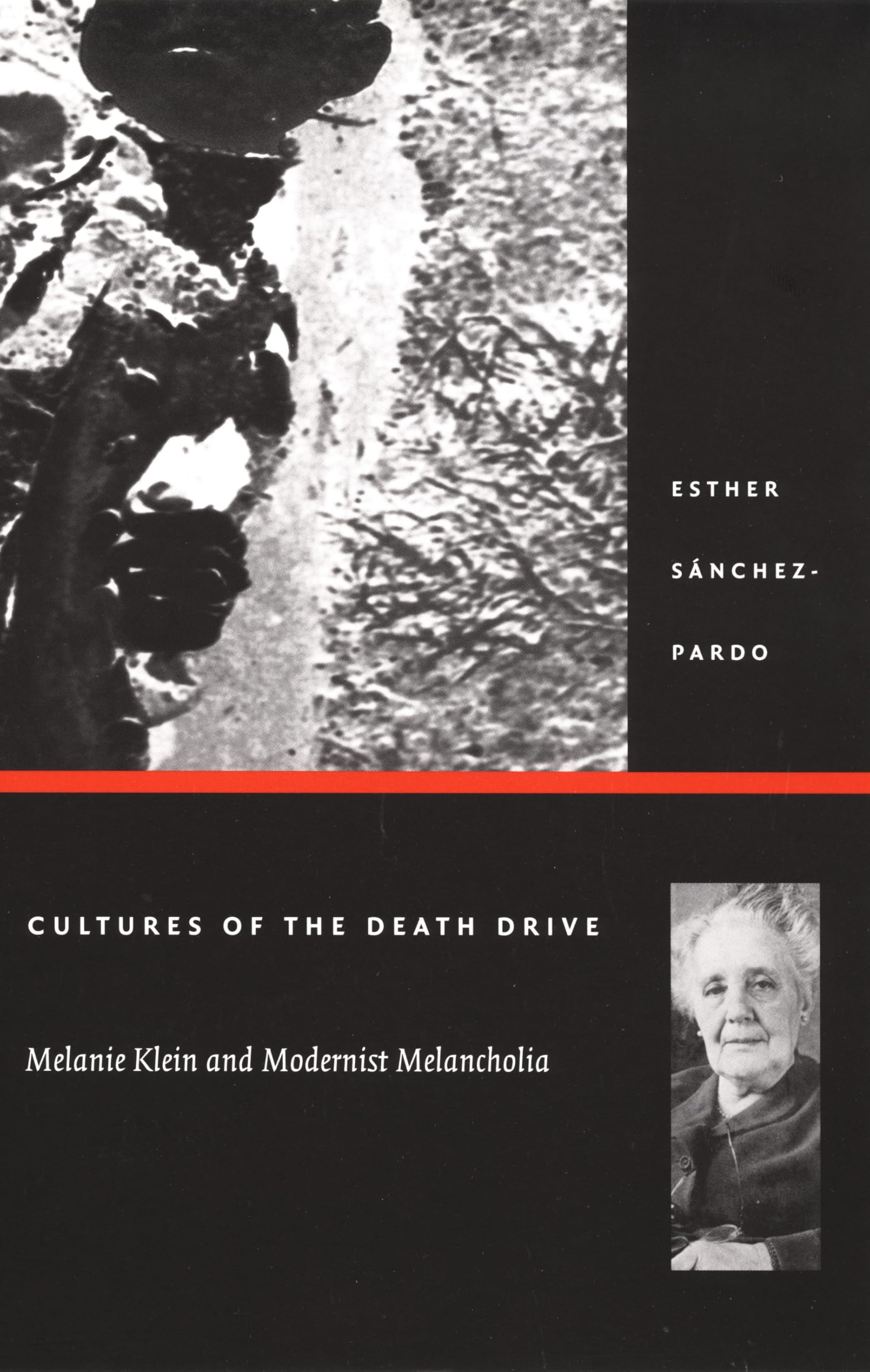 Cultures of the Death Drive: Melanie Klein and Modernist Melancholia (Post-Contemporary Interventions)