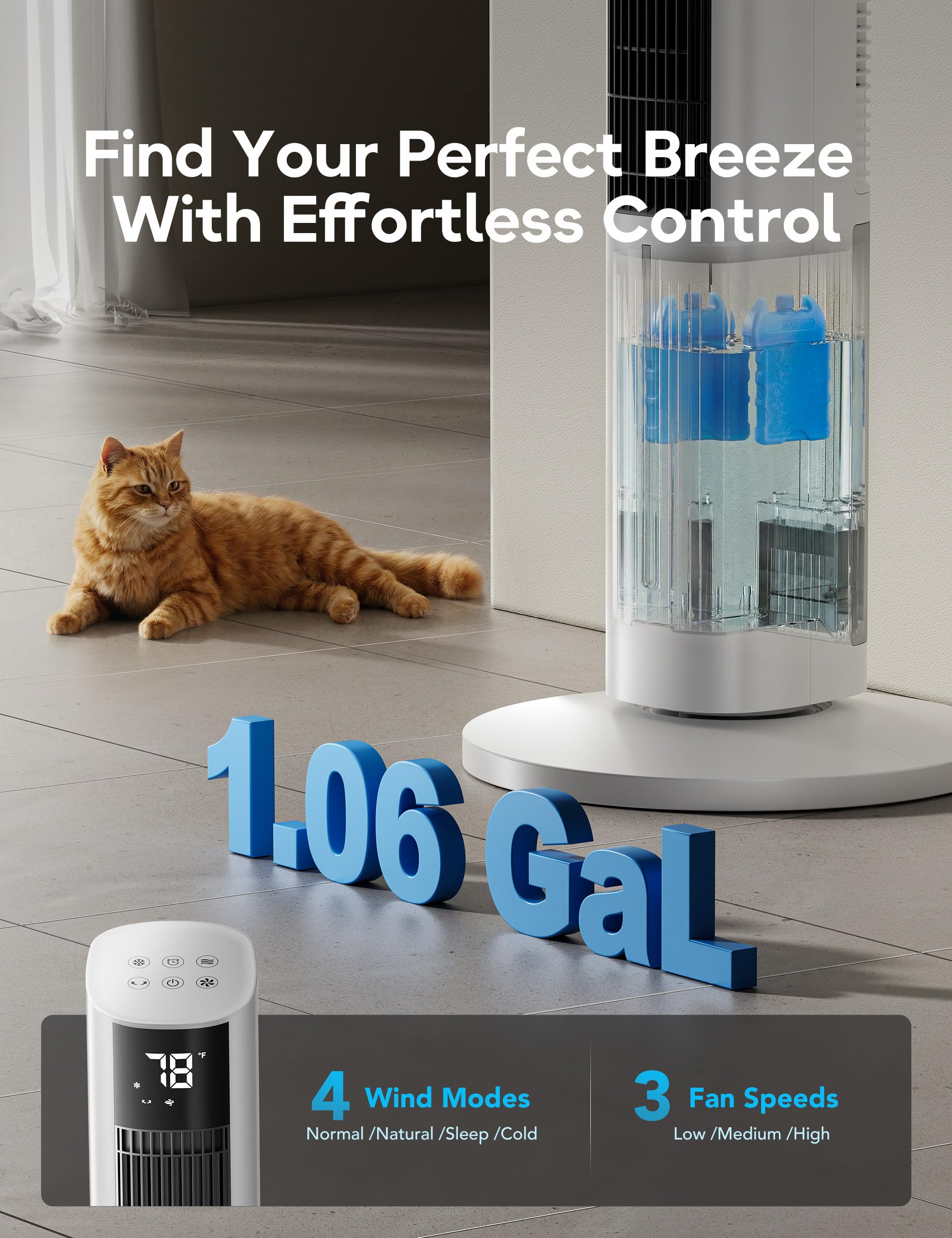 https://m.media-amazon.com/images/I/81vuw9YdX6L.jpg